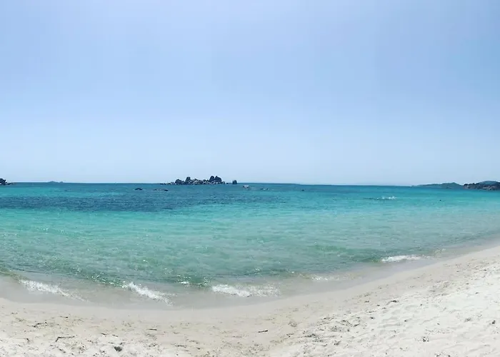 Domaine D'arca Eluard 02- Porto-vecchio - Rez De Jardin - 2 A 4 Pers Appartement Porto-Vecchio (Corsica)